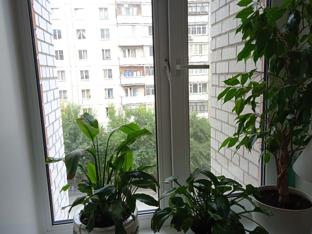 https://arzamas.delaem-okna.ru/storage/app/uploads/public/63f/332/8c0/63f3328c0d6f7867060515.jpg